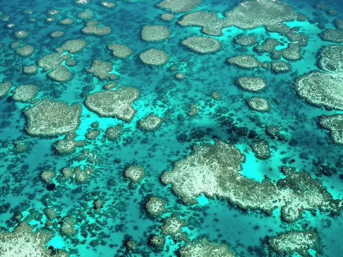 Framed Print : The Great Barrier Reef Framed Print : The Great Barrier Reef