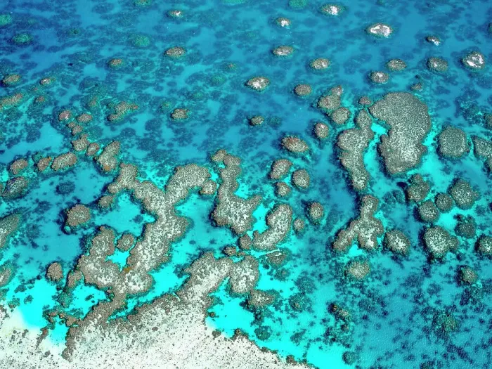 Framed Print : The Great Barrier Reef Framed Print : The Great Barrier Reef
