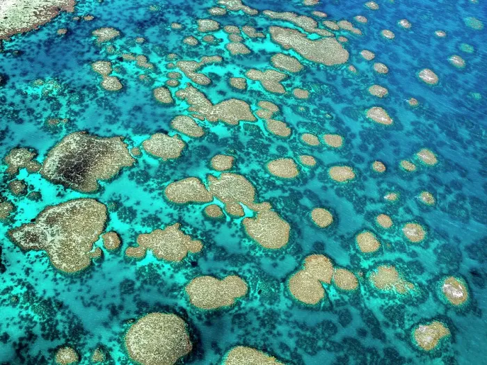 Framed Print : The Great Barrier Reef Framed Print : The Great Barrier Reef