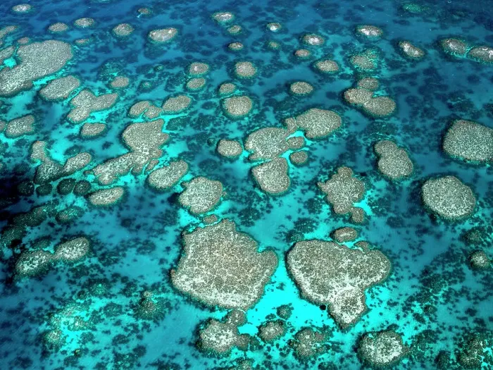 Framed Print : The Great Barrier Reef Framed Print : The Great Barrier Reef