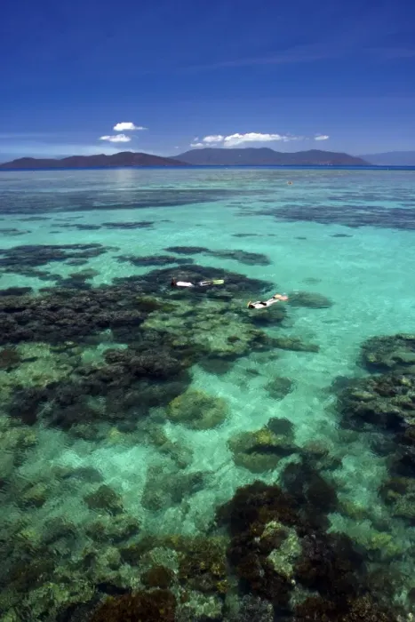 Framed Print : Great Barrier Reef Framed Print : Great Barrier Reef
