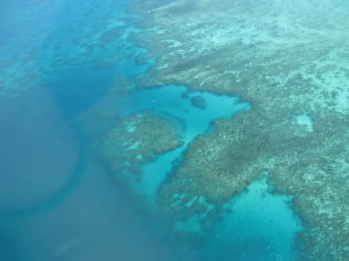 Framed Print : Great Barrier Reef Framed Print : Great Barrier Reef