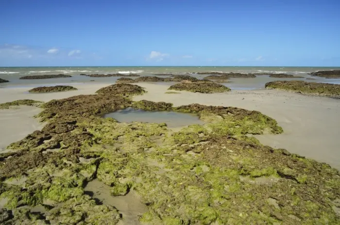 Framed Print : Great Barrier Reef