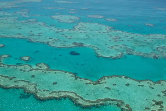 Framed Print : Great Barrier Reef aerial Framed Print : Great Barrier Reef aerial