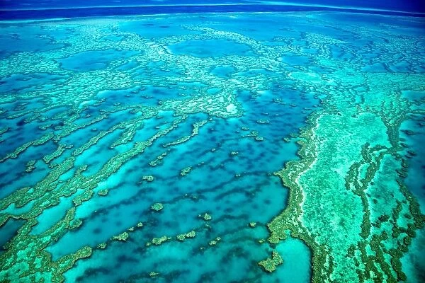 Great Barrier Reef aerial Knuckle Reef