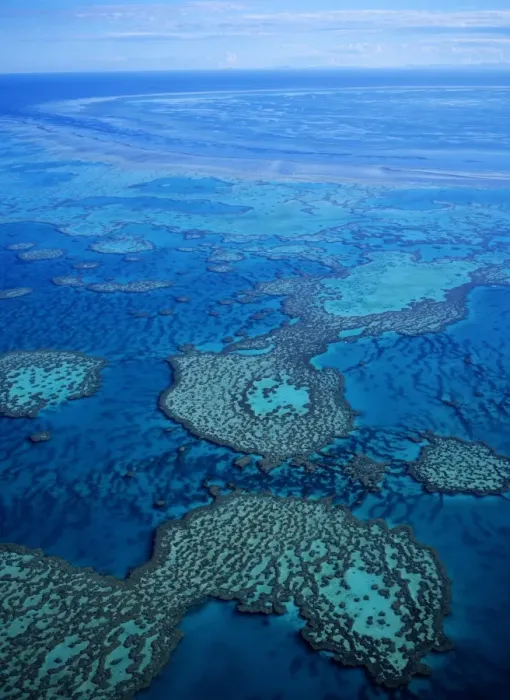 Framed Print : Great Barrier Reef in Australia Framed Print : Great Barrier Reef in Australia