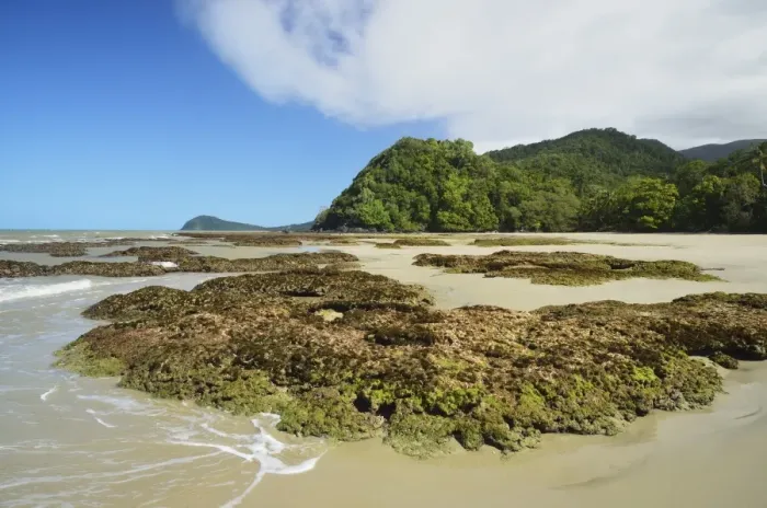 Framed Print : Great Barrier Reef meets rainforest