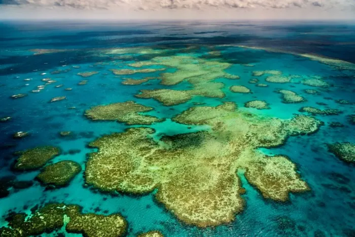 Framed Print : Great Barrier Reef, Queensland Framed Print : Great Barrier Reef, Queensland