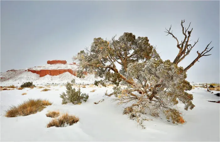 Framed Print : Green River Plains in Utah with a mantle of Winter snow