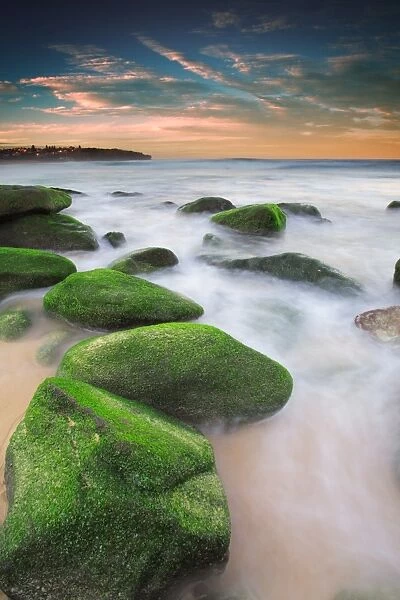 Green rocks at Curl Curl Beach
