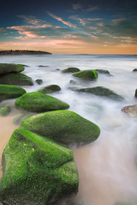Framed Print : Green rocks at Curl Curl Beach Framed Print : Green rocks at Curl Curl Beach