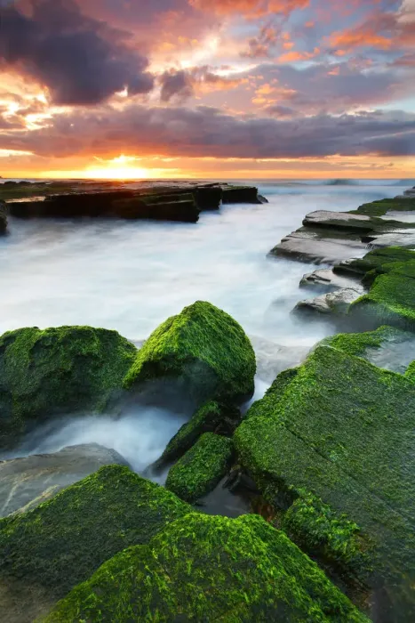 Framed Print : Green rocks at Turimetta Framed Print : Green rocks at Turimetta