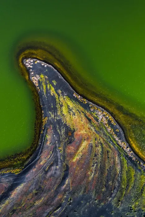 Framed Print : Green salt lake and fin shaped volcanic land taken by drone, Lanzarote