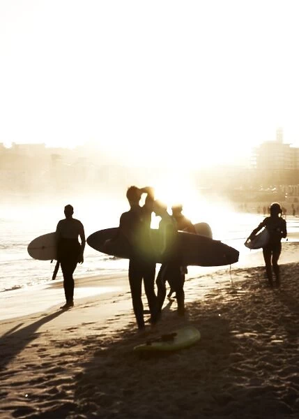 Group of surfers on the beach