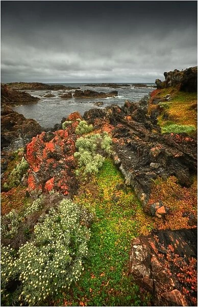The Gulchway, a rugged and isolated part of the West coastline of King Island, Bass Strait, Tasmania