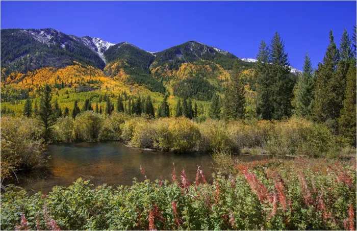 Framed Print : Gunnison Autumn colours, Colorado, south western United States of America