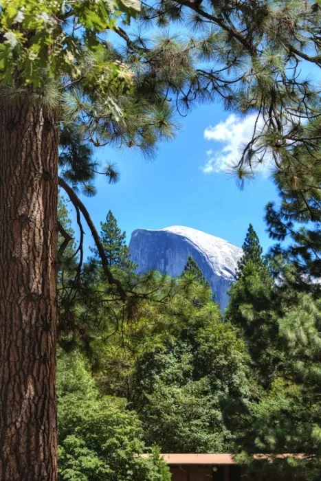 Framed Print : Half Dome, Yosemite National Park, California, United States of America Framed Print : Half Dome, Yosemite National Park, California, United States of America