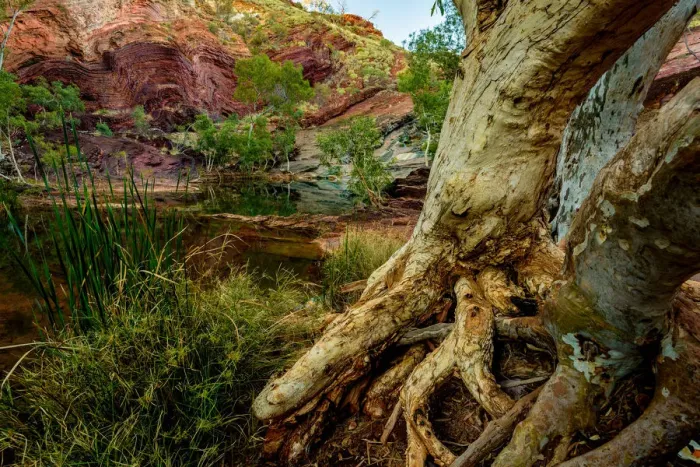 Framed Print : Hamersley Gorge