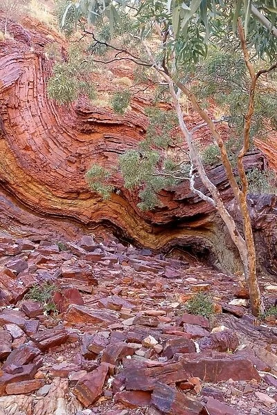 Hamersley Gorge, Karijini National Park, Western Australia