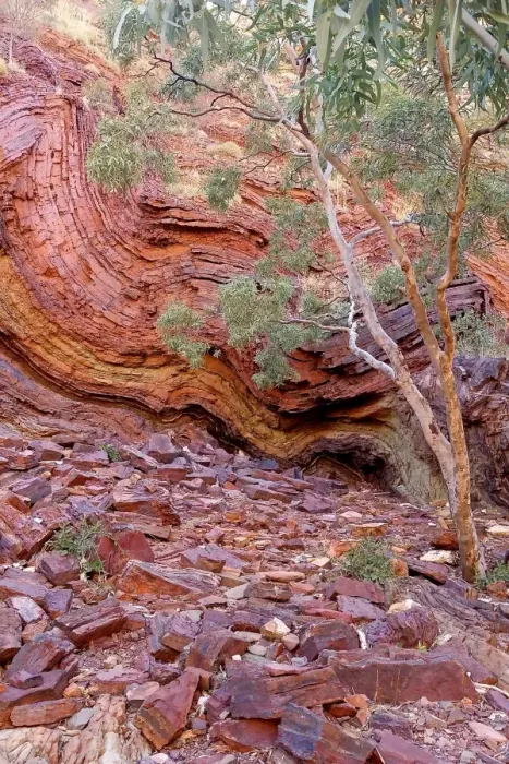 Framed Print : Hamersley Gorge, Karijini National Park, Western Australia