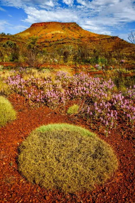 Framed Print : Hamersley Range