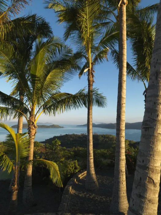 Framed Print : Hamilton Island Framed Print : Hamilton Island