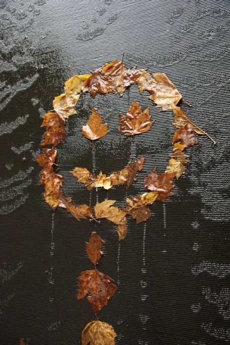 Framed Print : Happy dead maple leaves Framed Print : Happy dead maple leaves
