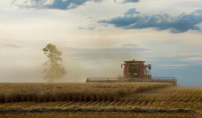 Framed Print : Harvesting a wheat crop in country NSW australia