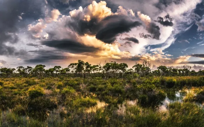 Framed Print : Hassell National Park