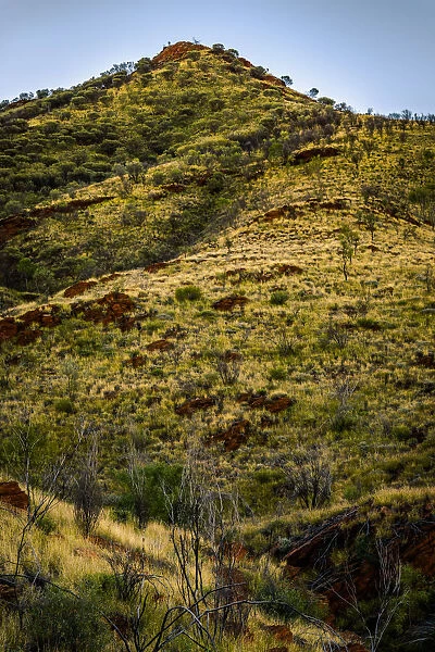 Hat Hill Saddle at West Macdonnell Ranges