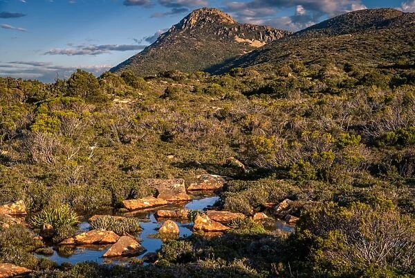 Hatz Peak at Hartz Mountains National Park, Tasmania
