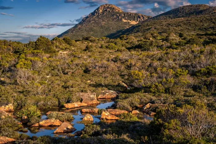 Framed Print : Hatz Peak at Hartz Mountains National Park, Tasmania Framed Print : Hatz Peak at Hartz Mountains National Park, Tasmania