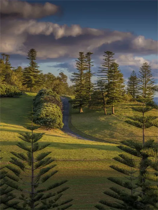 Framed Print : Headstone point