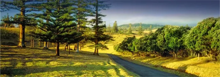 Framed Print : Headstone Road Norfolk Island