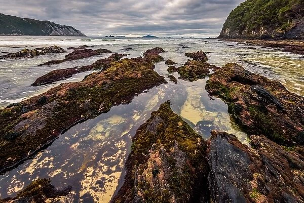 Hidden Bay at South West Cape trail, Southwest Tasmania