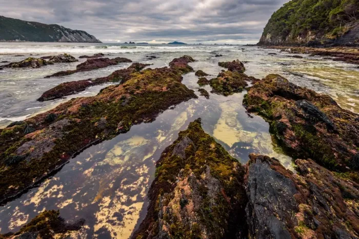 Framed Print : Hidden Bay at South West Cape trail, Southwest Tasmania