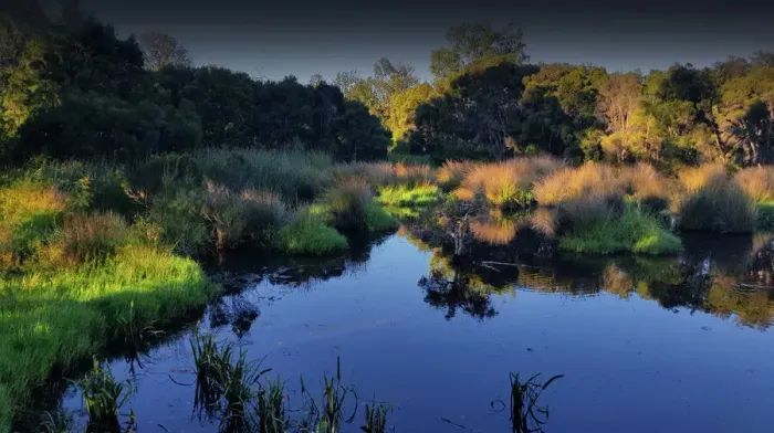 Framed Print : Hidden Grove pond, Victoria, Australia Framed Print : Hidden Grove pond, Victoria, Australia