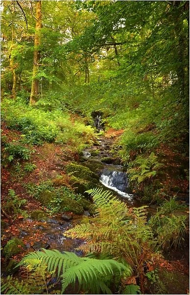 Hidden waterfall, Loch Lomond, the Trossachs, Scotland