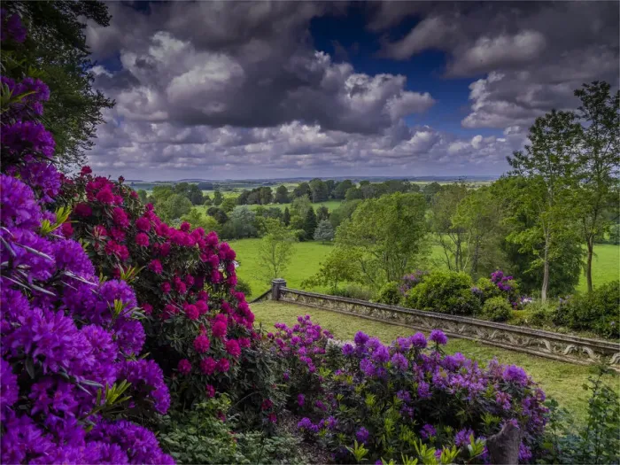 Framed Print : Highfield woodlands, Shropshire, England, United Kingdom