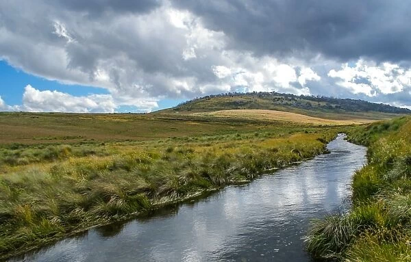 Highland Stream in Kosciuszko National Park
