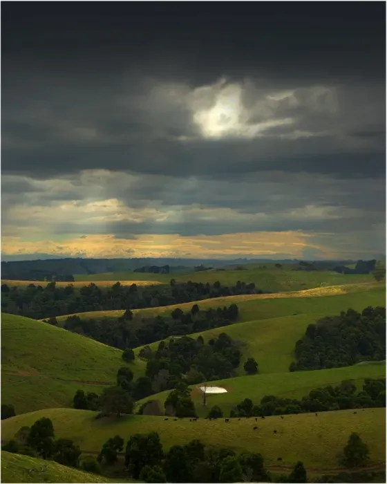 Framed Print : Hill-farming near Dollar, south Gippsland, Victoria, Australia Framed Print : Hill-farming near Dollar, south Gippsland, Victoria, Australia