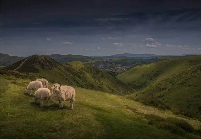 Framed Print : Hillside view down the Carding Valley in Shropshire, England, United Kingdom