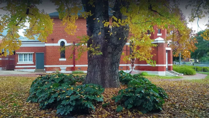 Framed Print : Historic Building and Tree with Autumn leaves, Wangaratta, North Central Victoria, Australia Framed Print : Historic Building and Tree with Autumn leaves, Wangaratta, North Central Victoria, Australia
