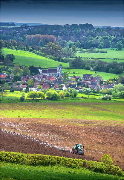 Hod hill, north Dorset, England, United Kingdom