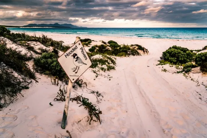 Framed Print : Hooded Plovers Sign at Point Charles Bay in Fitzgerald River National Park