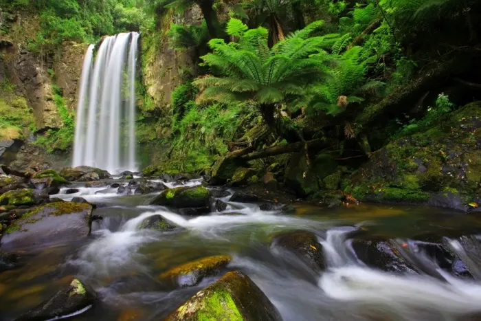 Framed Print : Hopetoun Falls, Great Otway NP, Australia Framed Print : Hopetoun Falls, Great Otway NP, Australia