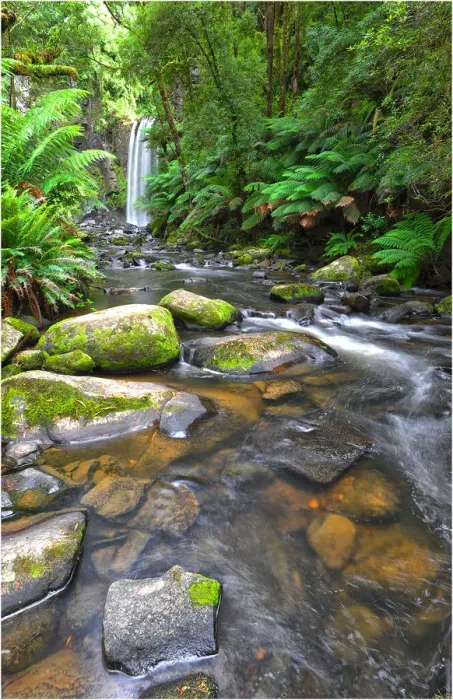 Framed Print : Hopetoun falls, western Victoria, Australia Framed Print : Hopetoun falls, western Victoria, Australia