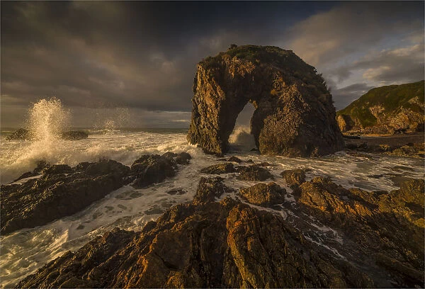 Horse head rock, Bermagui, southern coastline of New South Wales, Australia