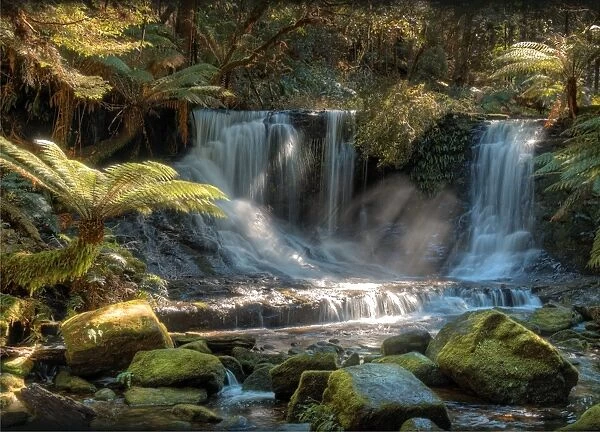 Horseshoe Falls in the rainforest of the Mount field National Park, southern Tasmania