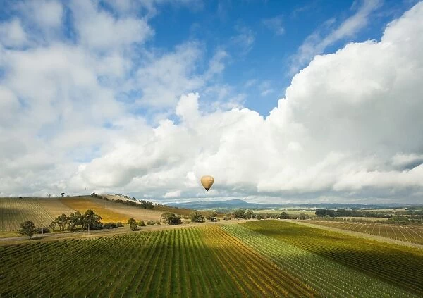Hot air ballooning over vineyards of Yarra Valley